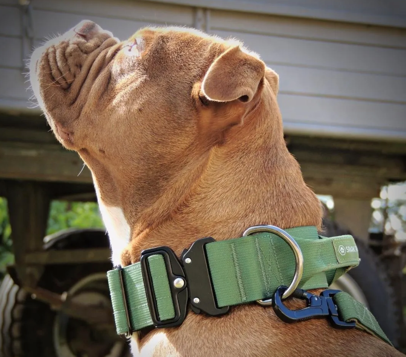 Change Hardware: customize the leash snap on your leash order - Bold Lead  Designs