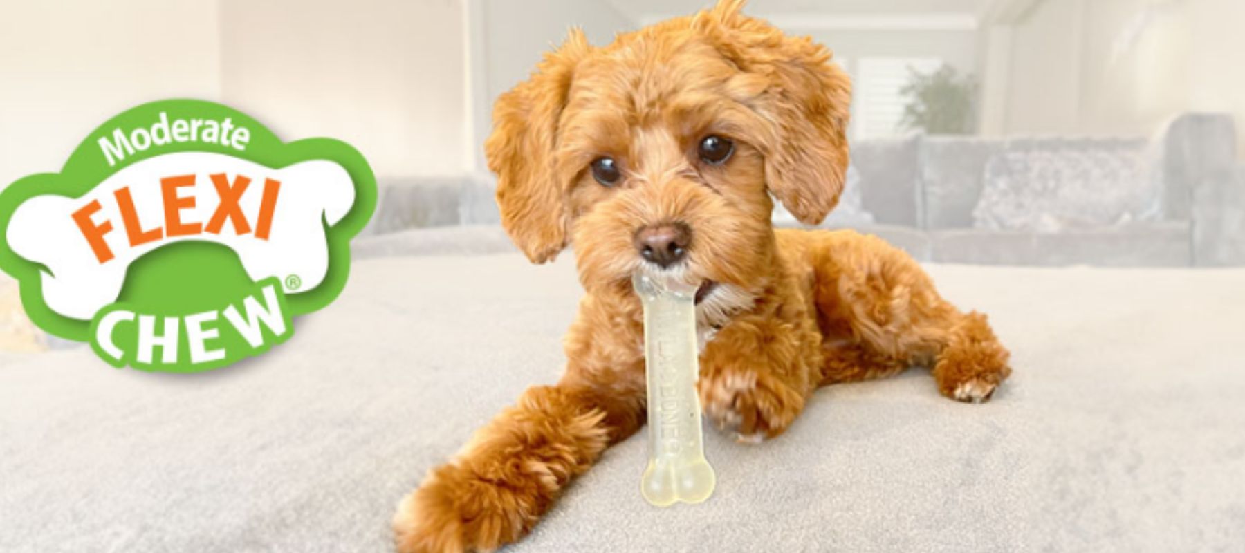 When to Throw Away A Nylabone SPARK PAWS