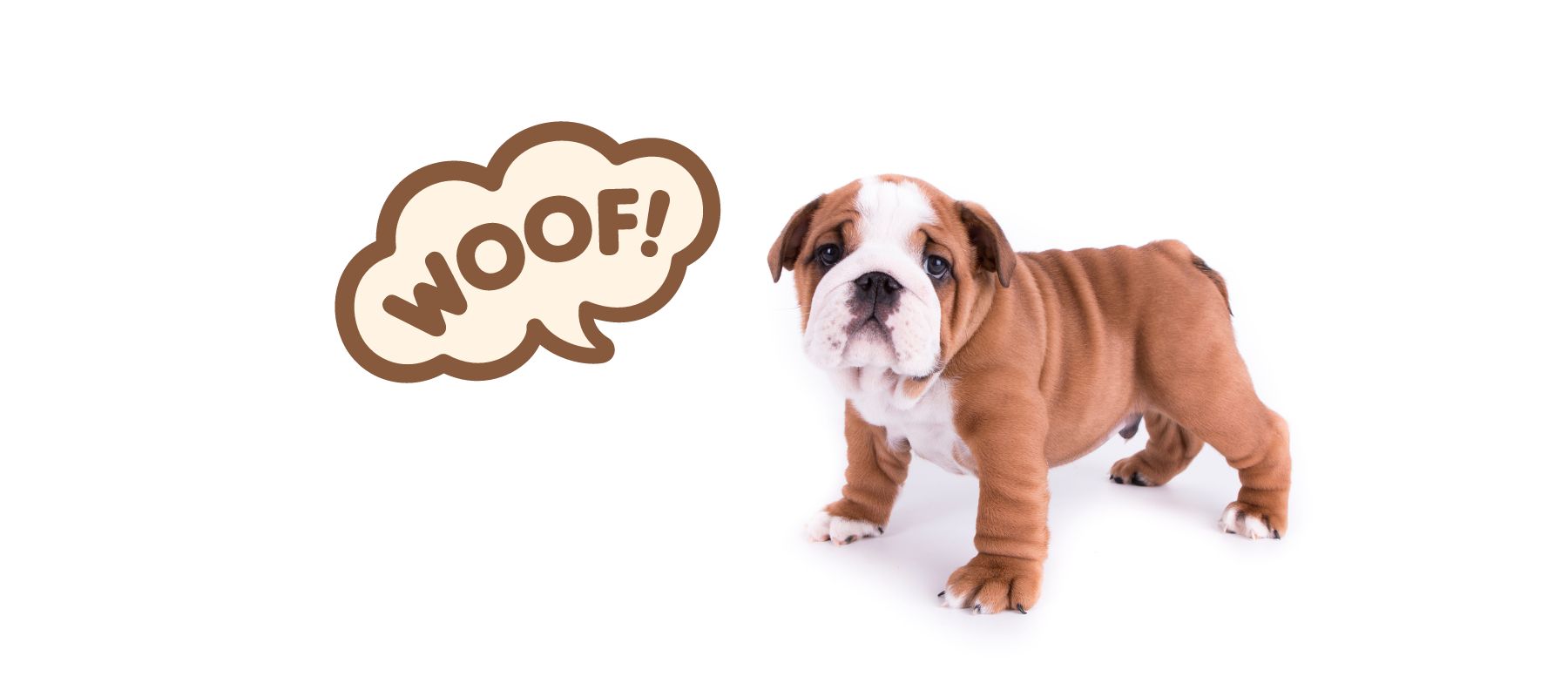Breed, environment, and individual differences