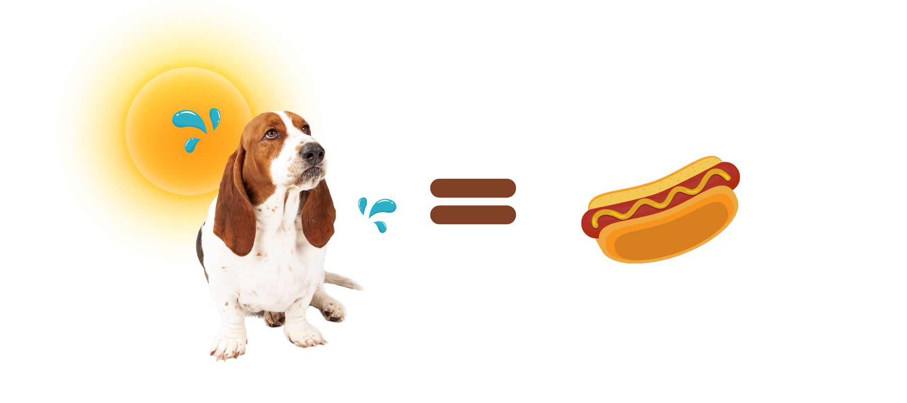 When Is It Too Hot to Walk Your Dog? Expert Advice & Guidelines SPARK PAWS