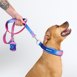 Snow Cone Collar||size:C,D,E