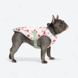 Dog Cooling Vest - Cherries