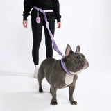 Multipurpose Seatbelt Handsfree Leash & Poop Bag Holder Set - Lilac