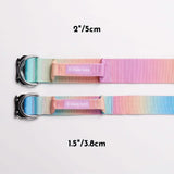 Comfort Control Collar - Pastel Icing
