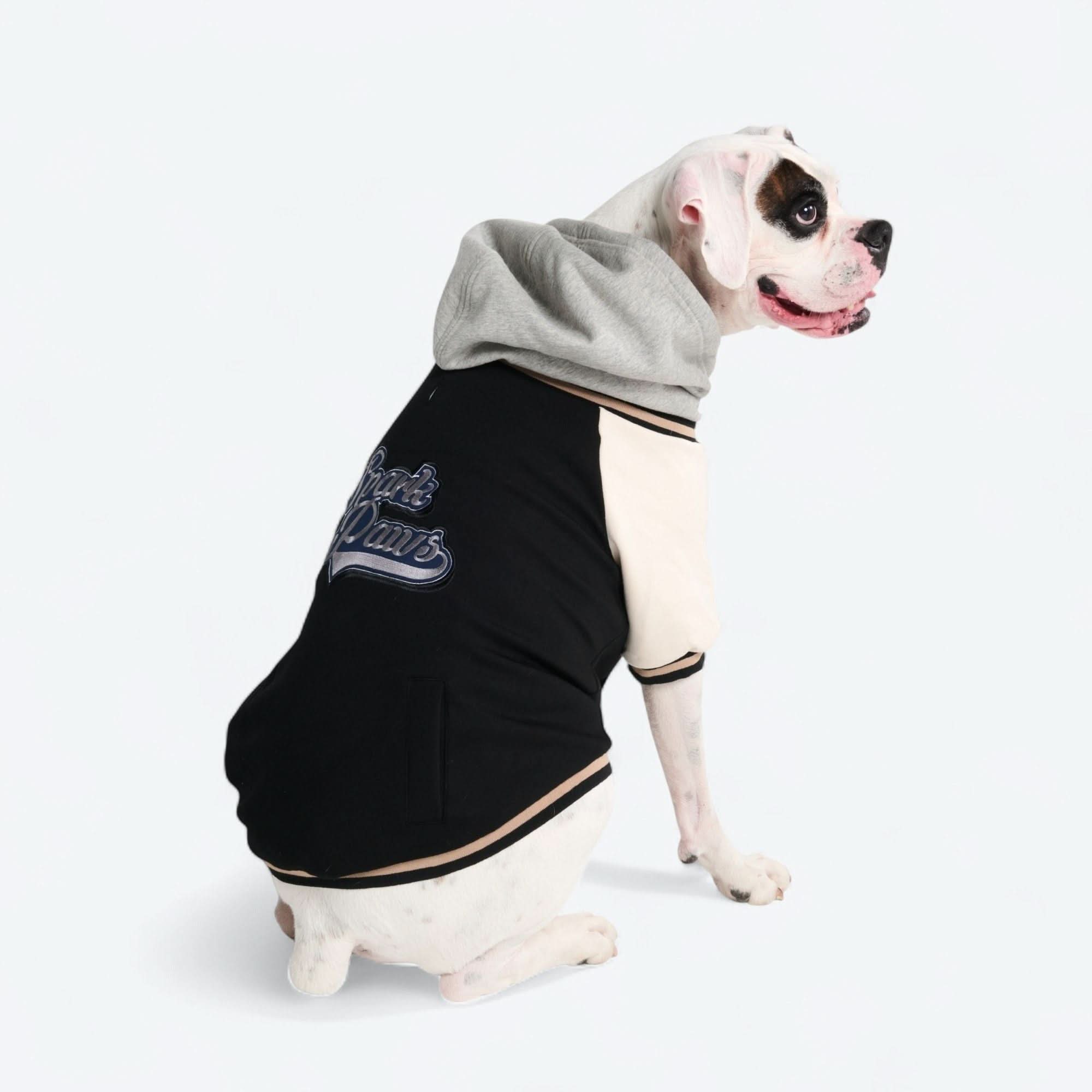 Dog Varsity Jacket - Black – SPARK PAWS