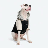 Dog Varsity Jacket - Black