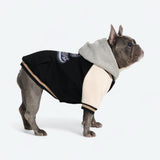 Dog Varsity Jacket - Black