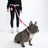 Multipurpose Seatbelt Handsfree Leash & Poop Bag Holder Set - Pink