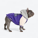 Dog Varsity Jacket - Purple