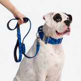 Comfort Control Collar Set - Blue Camo