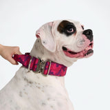 Fuchsia Camo Collar