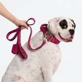 Leash and Poop Bag Holder Set - Fuchsia Camo