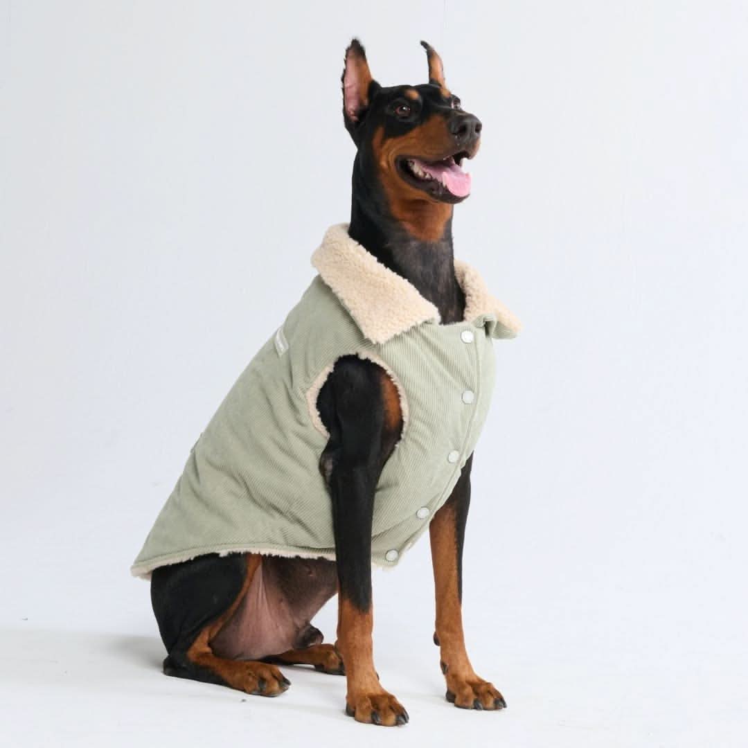 Corduroy Sherpa Fleece Dog Jacket Coat – SPARK PAWS