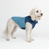 Blue PuffShield Jacket||size:2XL