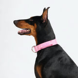 Pink Collar