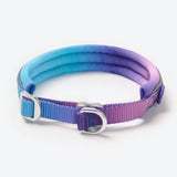 90s Retro Martingale Collar||size:A,B