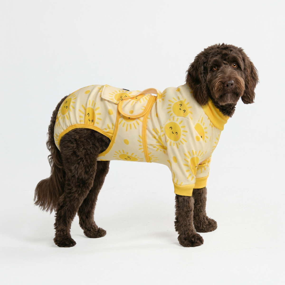 DOG GUARD AIR 犬服 SM COSMOS MINT Dog Surgical Suit - Sunshine – SPARK PAWS