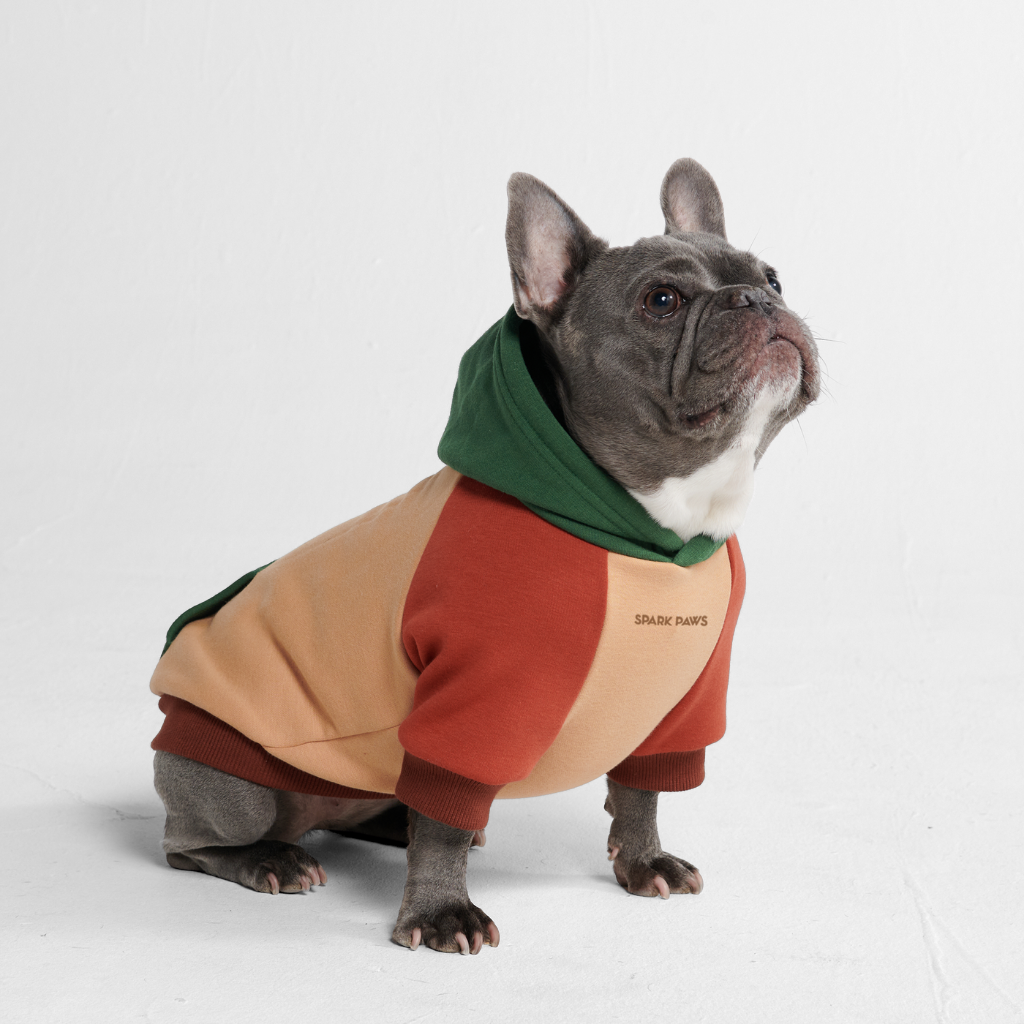 Ranger Dog Hoodie – SPARK PAWS - Main Image