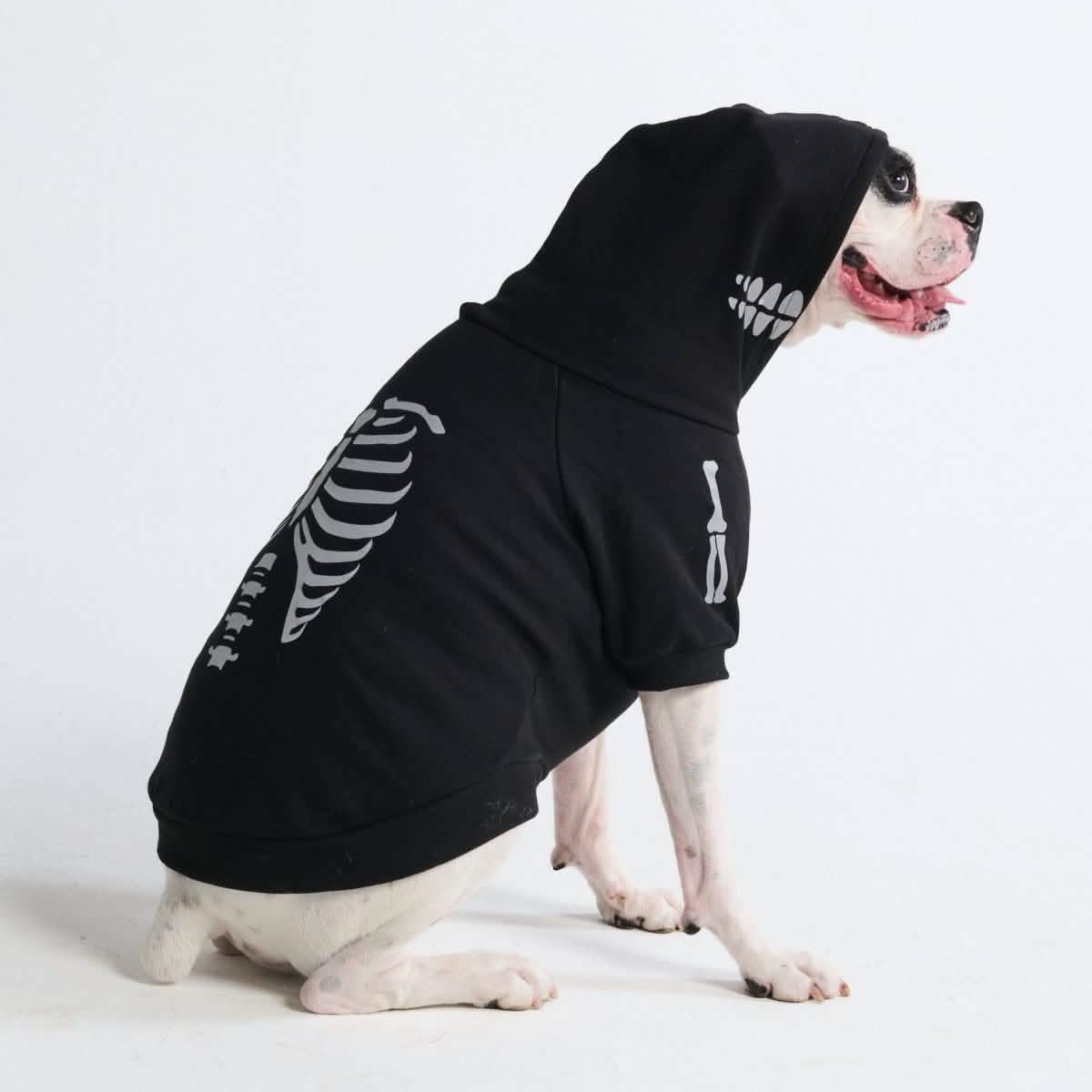 Soul Dog Soul Dog USA