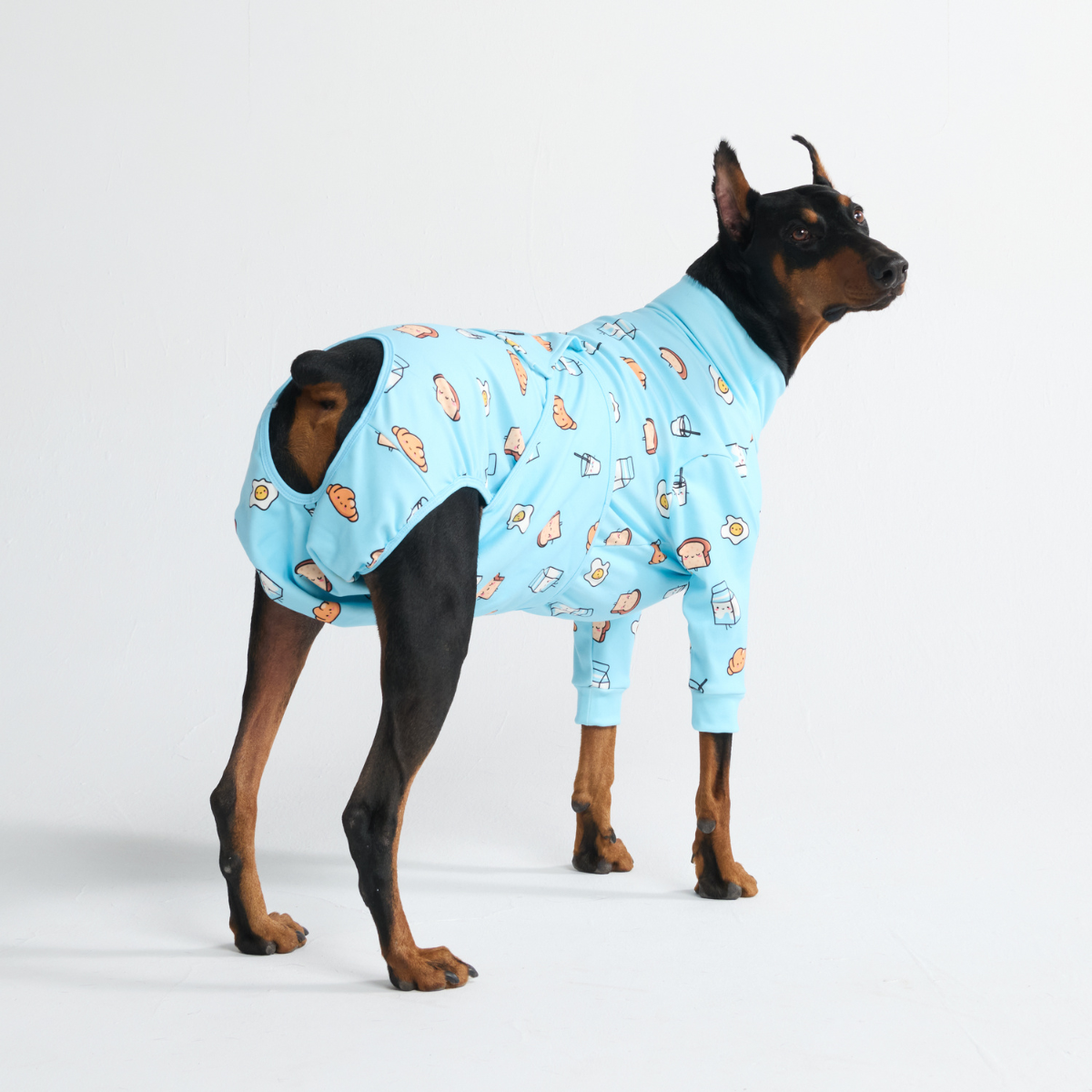 Dog Surgical Suit - Breakfast Blue – SPARK PAWS