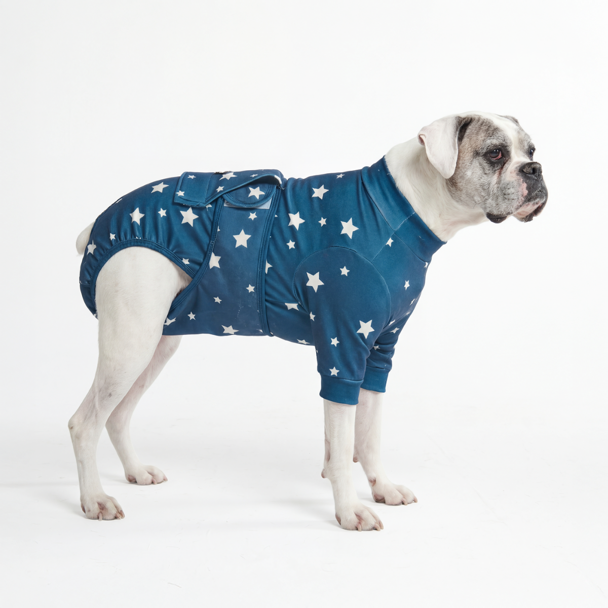 Dog Surgical Suit - Stars – SPARK PAWS
