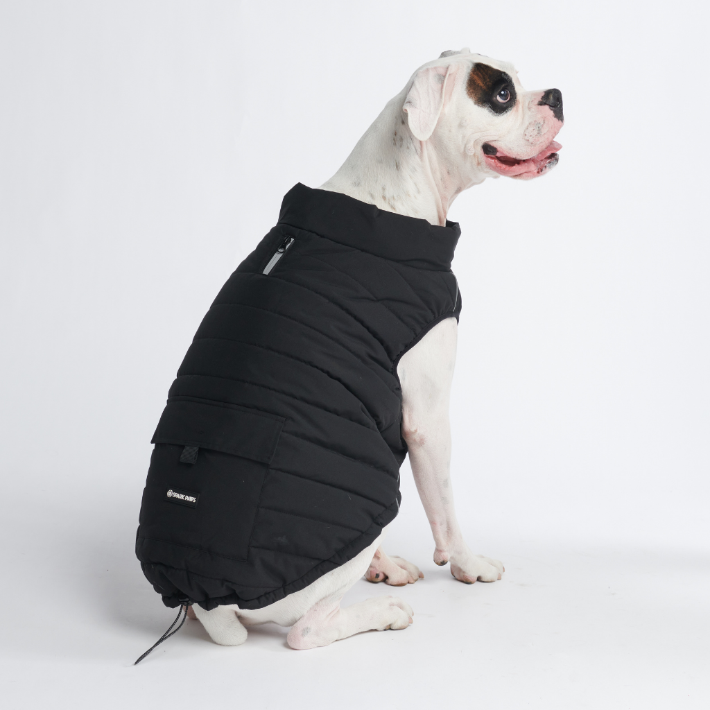 WarmShield Water-Resistant Jacket - Black – SPARK PAWS WarmShield Water-Resistant Jacket - Black – SPARK PAWS