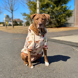 size:S,M,L,XL,2XL,3XL,4XL,5XL