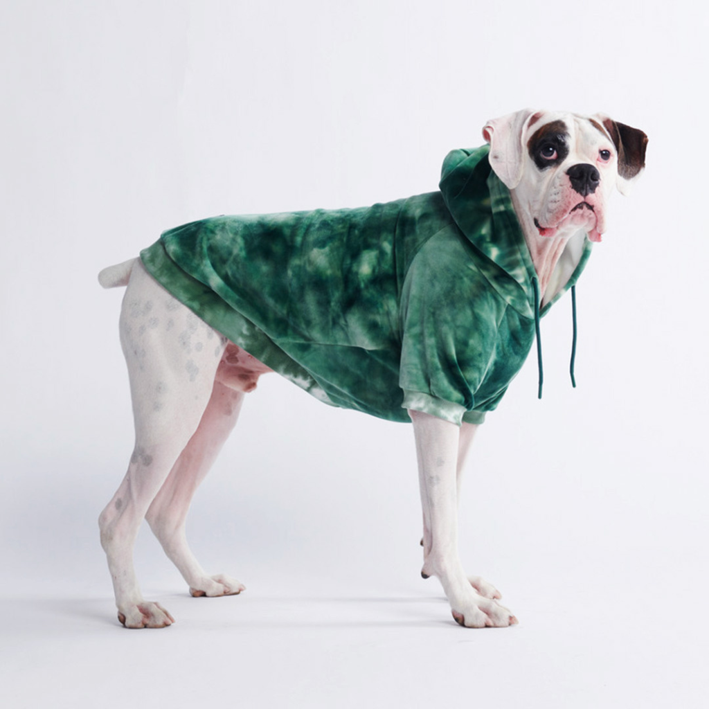 Spark Paws Velvet Dog Hoodie Emerald Green 3X-Large Spark Paws Velvet Dog Hoodie Emerald Green 3X-Large