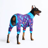 Planets PJ