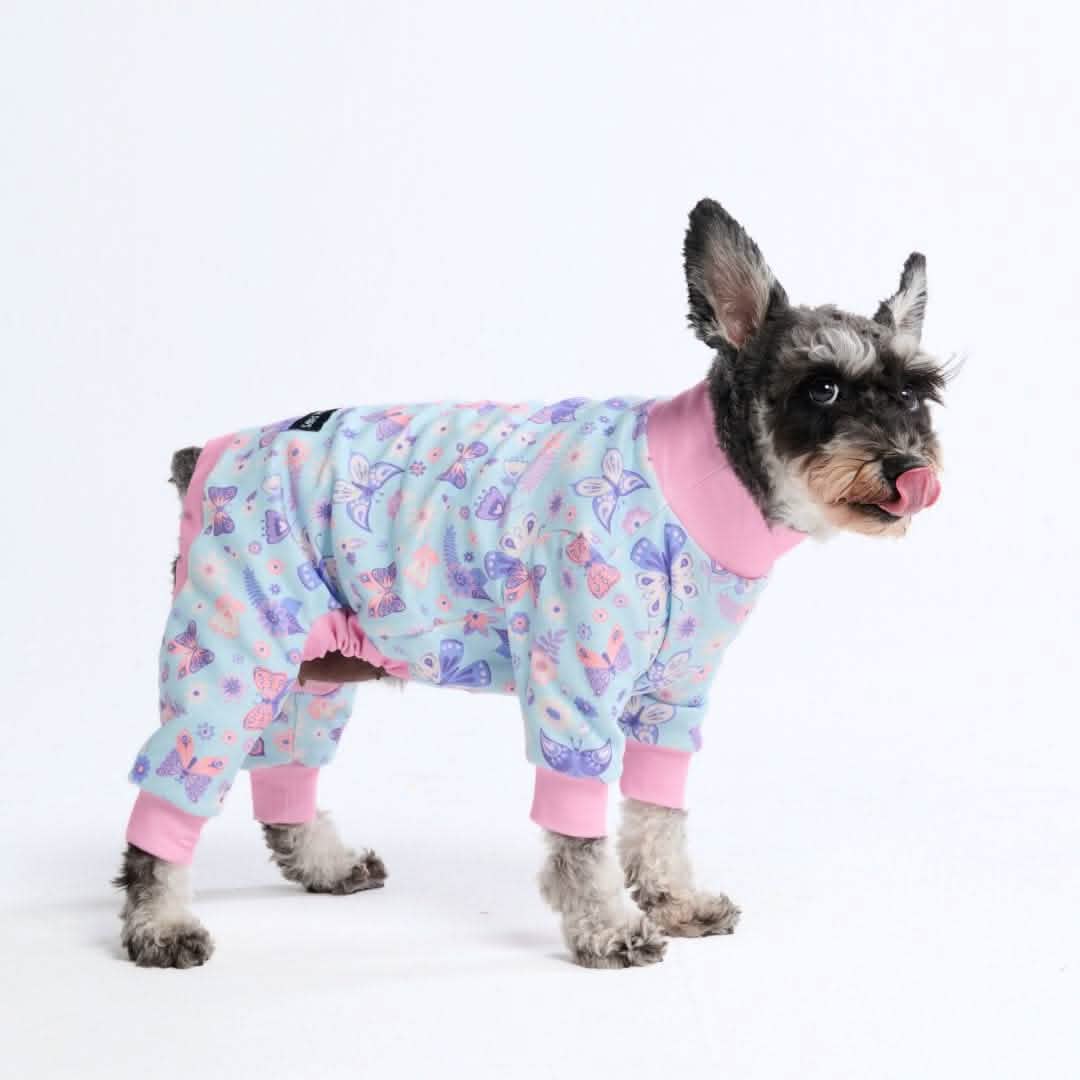 pinkdog様 77_59d41957-f712-403a-8795-