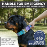 Comfort Control Collar - 90s Retro