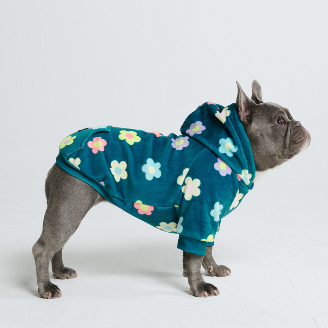 Indigenous Paisley Dahlia Pet Dog Hoodie