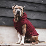 Teddy Sherpa Dog Jacket - Maroon [Size 4XL]