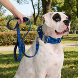 Blue Camo Collar