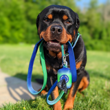 Comfort Control Collar Set - Lime Wave