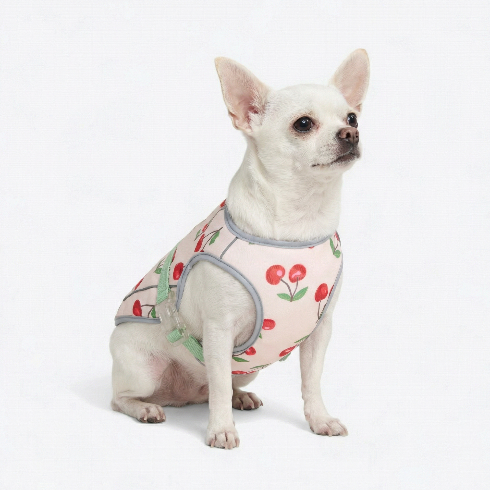 Dog Cooling Vest - Cherries – SPARK PAWS