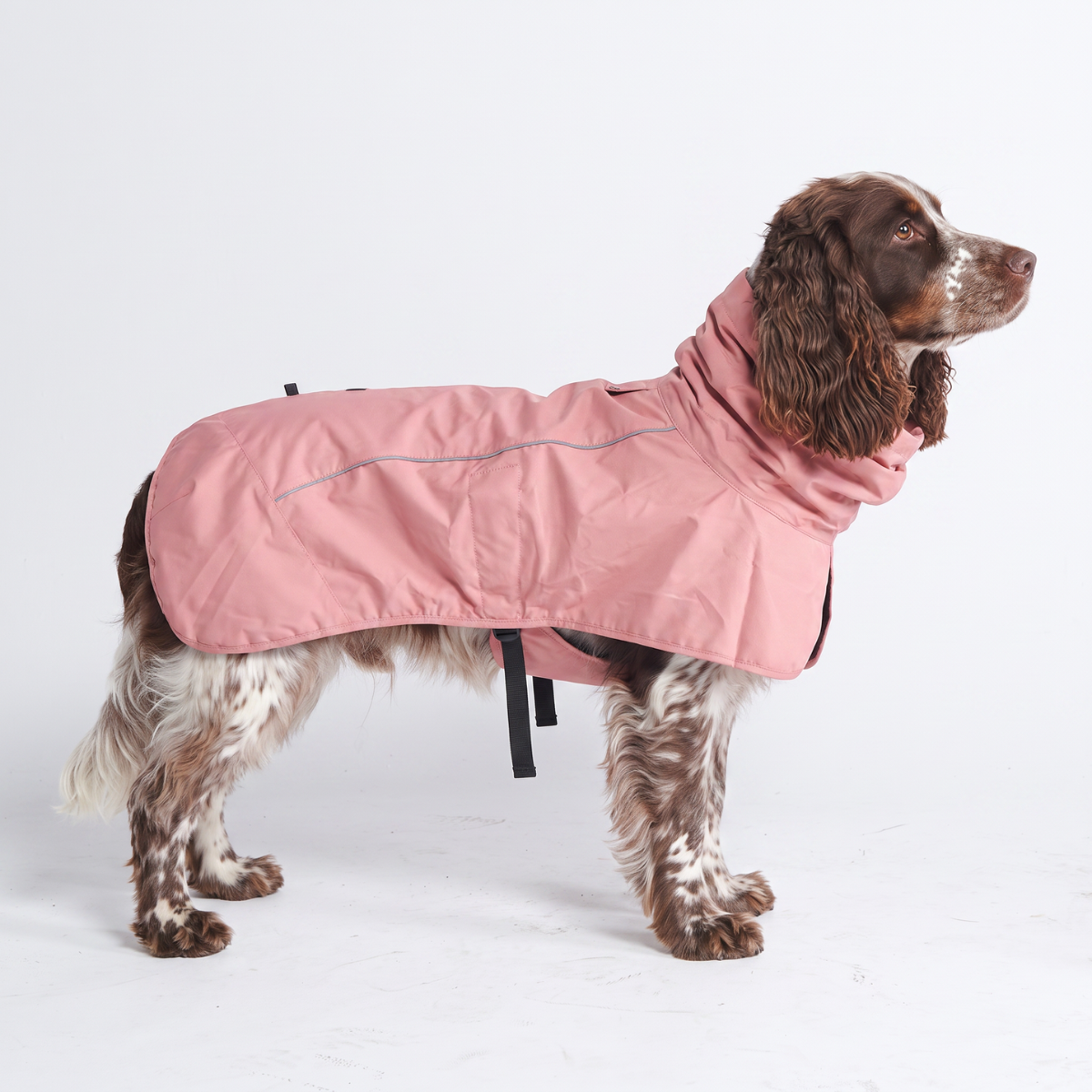 Breatheshield™ Dog Raincoat - Sea Pink – SPARK PAWS