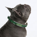 Green Martingale Collar||size:A,B