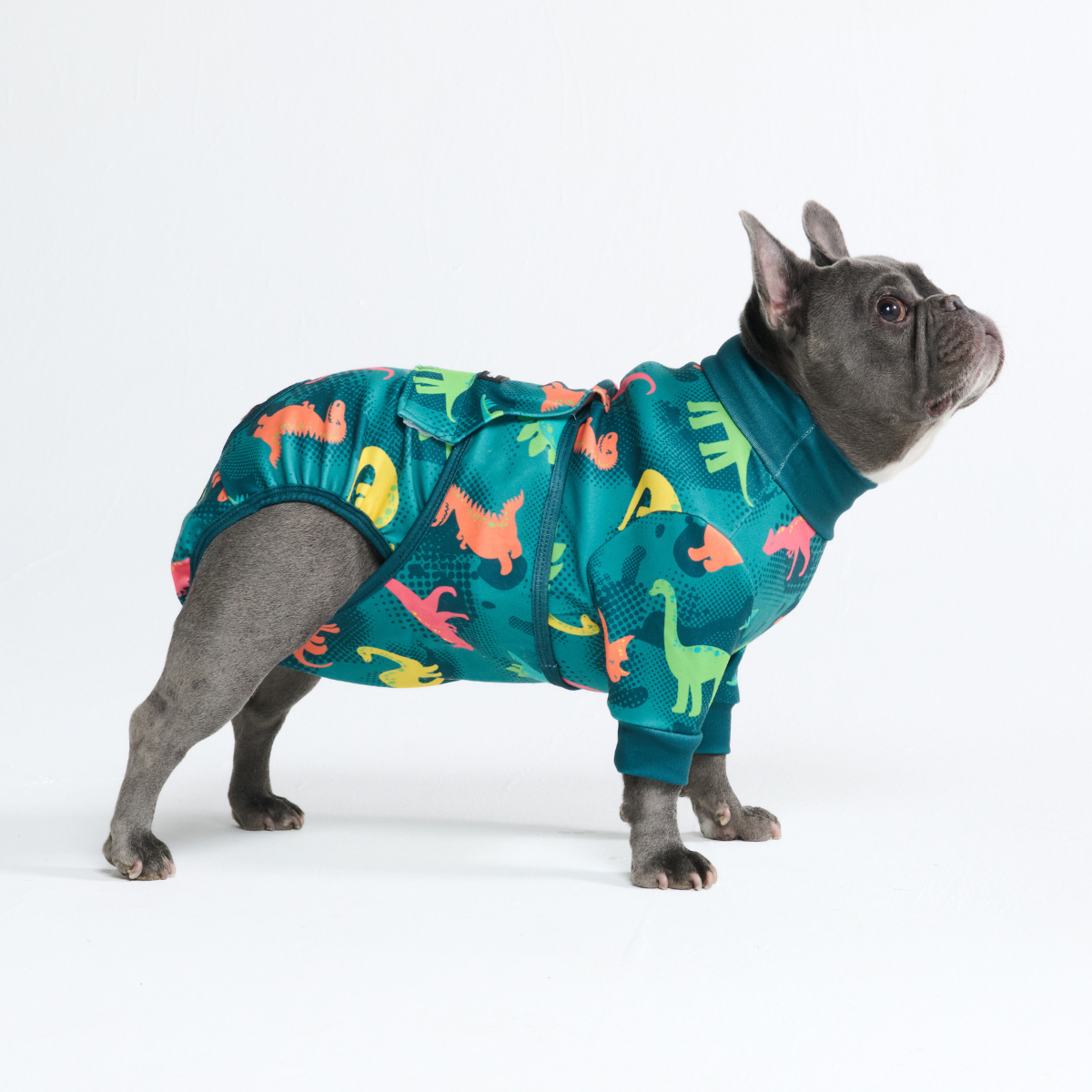 Dog Surgical Suit - Dinosaurs – SPARK PAWS