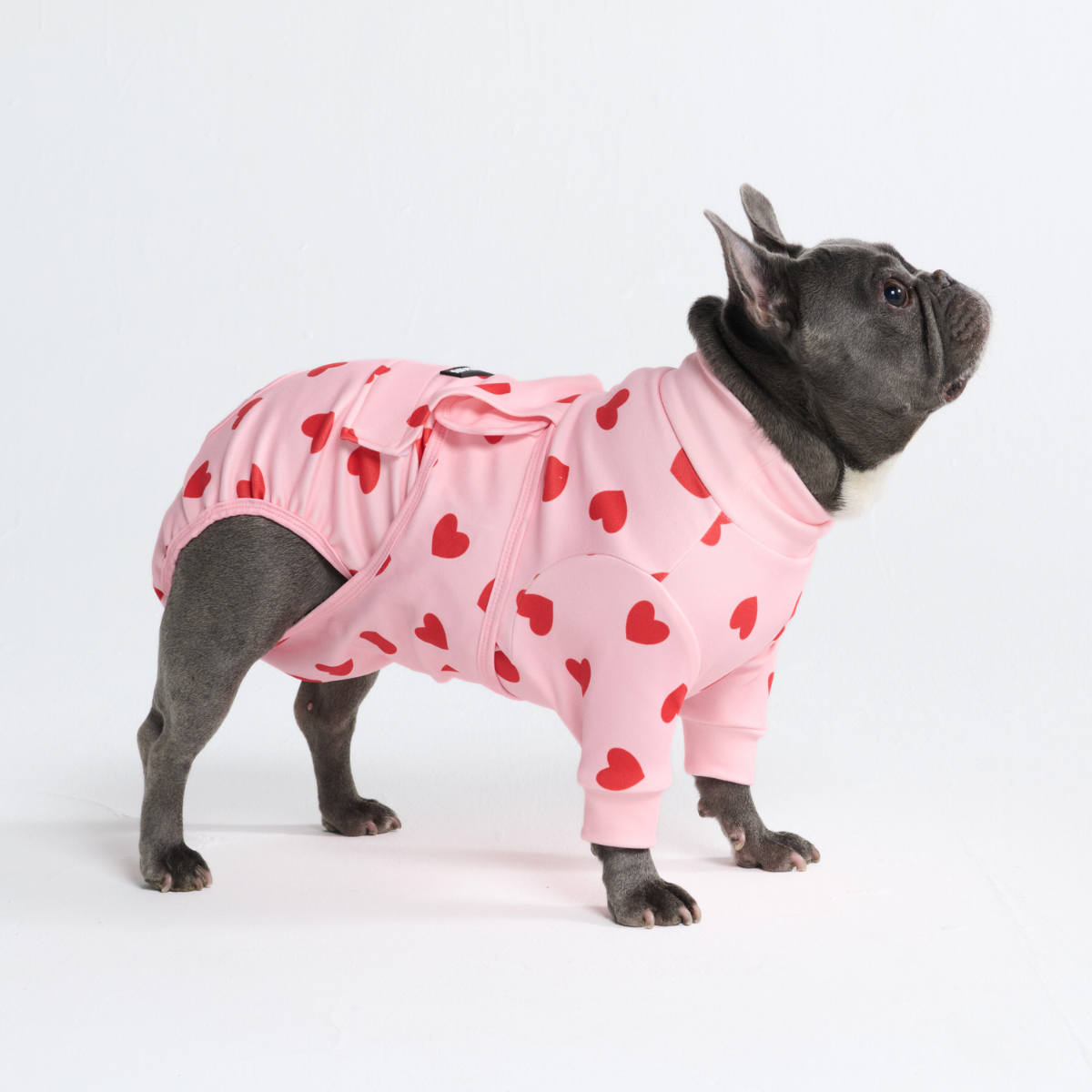 Dog Surgical Suit - Pink Hearts – SPARK PAWS