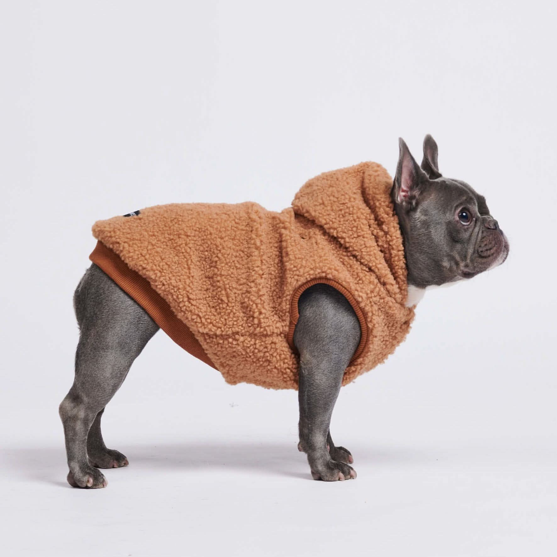 Teddy Sherpa Dog Jacket - Brown – SPARK PAWS