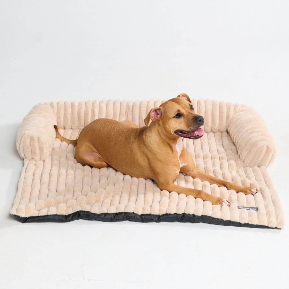 Luxury Couch Cover Dog Bed - Beige – SPARK PAWS