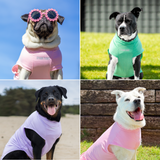 Mint Pink Purple||size:S,M,L,XL,2XL,3XL,4XL,5XL