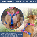 Snow Cone Harness||size:S,M,L