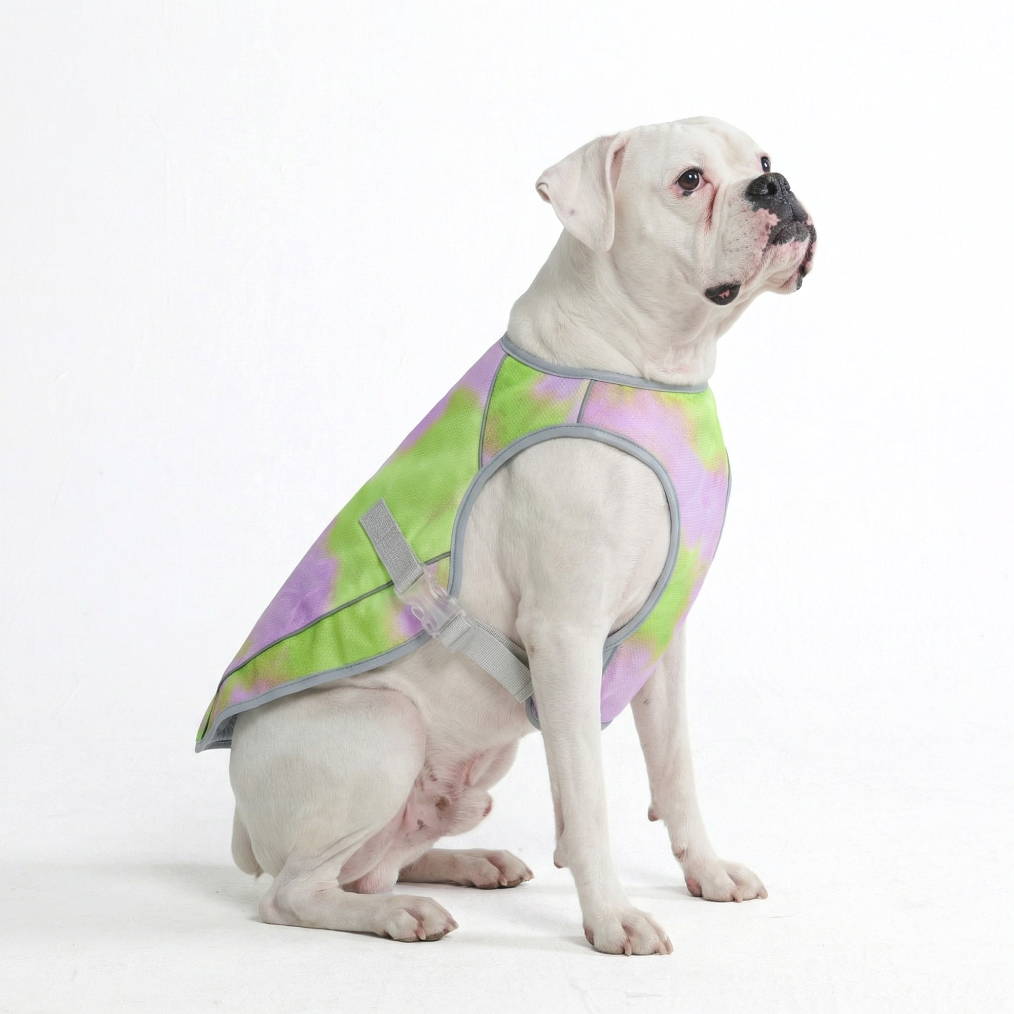 Dog Cooling Vest - Neon Purple – SPARK PAWS