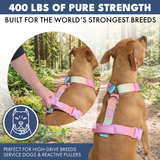 Pastel Icing Harness||size:S,M,L