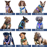 Lilac Harness||size:S,M,L