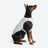 Popsicle Cooling Vest||size:4XL