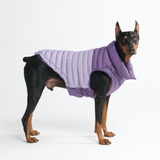 Purple PuffShield Jacket||size:S,M,L,XL,2XL,3XL,4XL