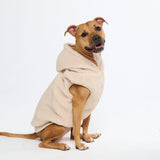 Teddy Sherpa Dog Sweater - Beige